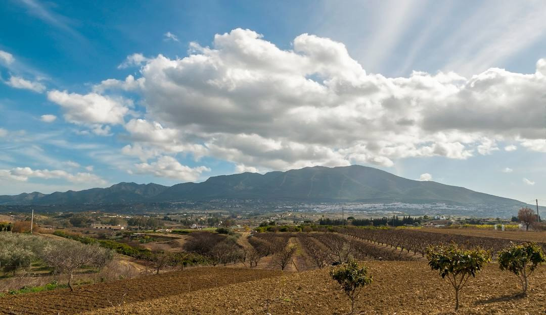 alhaurín el grande-2